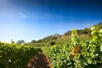 Visiter Domaines de l'Ardèche