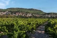 Visiter Domaines du Gard