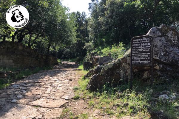 Le chemin de Masmolène