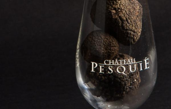 Repas truffe avec le Château Pesquié