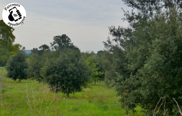 Boucle cyclo-découverte de la Gardonnenque