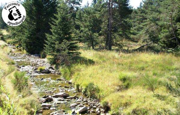 Les 5 cols du Bonheur