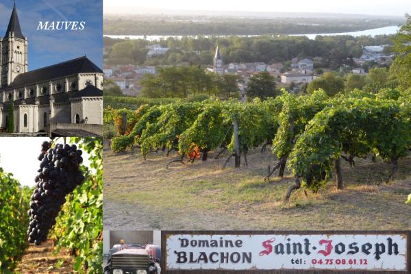 Domaine Blachon