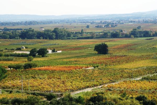 Boucle cyclo Vigneronne