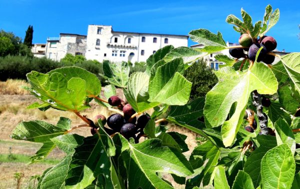 Sentier du Site Remarquable du Goût des figues