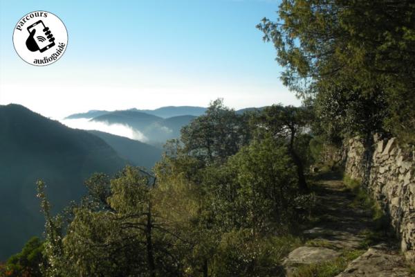 Sentier de Roquefeuille