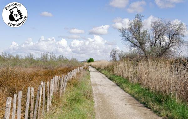 Boucle cyclo-découverte Entre Vignes et Rizières