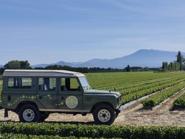 Land Rover Wine Safari