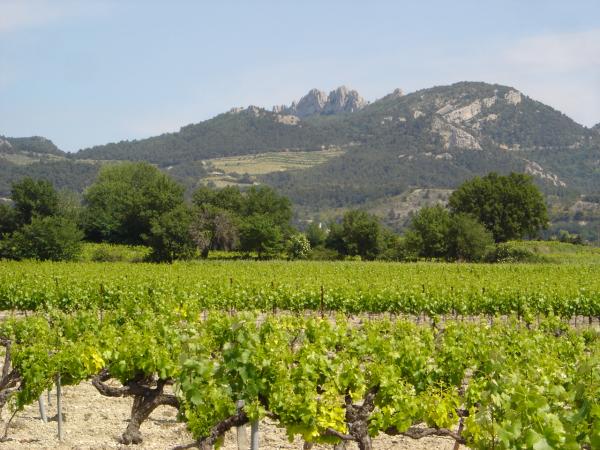 Domaine la Bouscatière