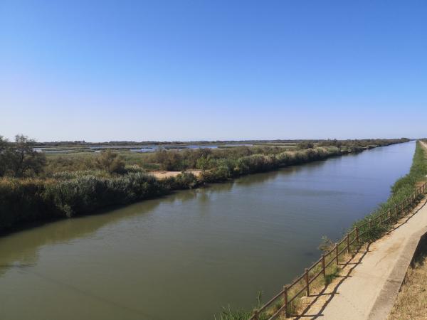 Boucle cyclo découverte La Camargue Gardoise