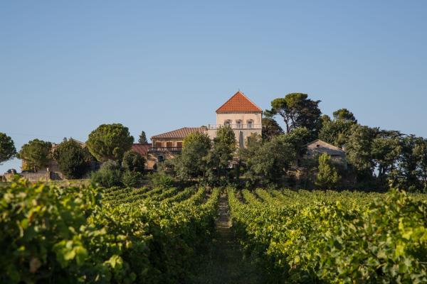 Château de Ruth