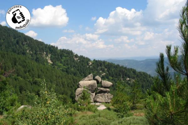 La Virado del Ronc