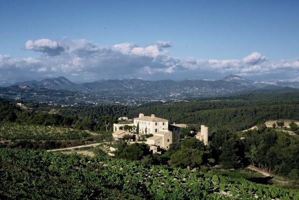 Visite de la cave - Domaine de Mourchon