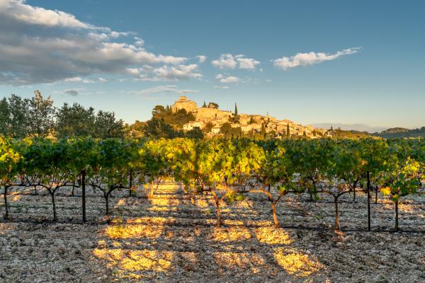 Chateau Turcan : location de salle de réception