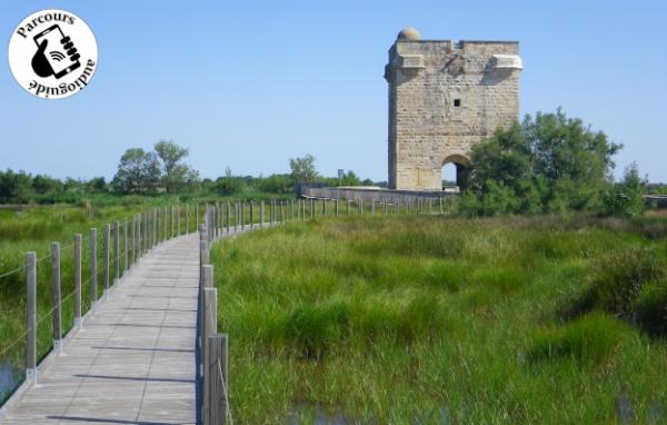 Terre de Camargue