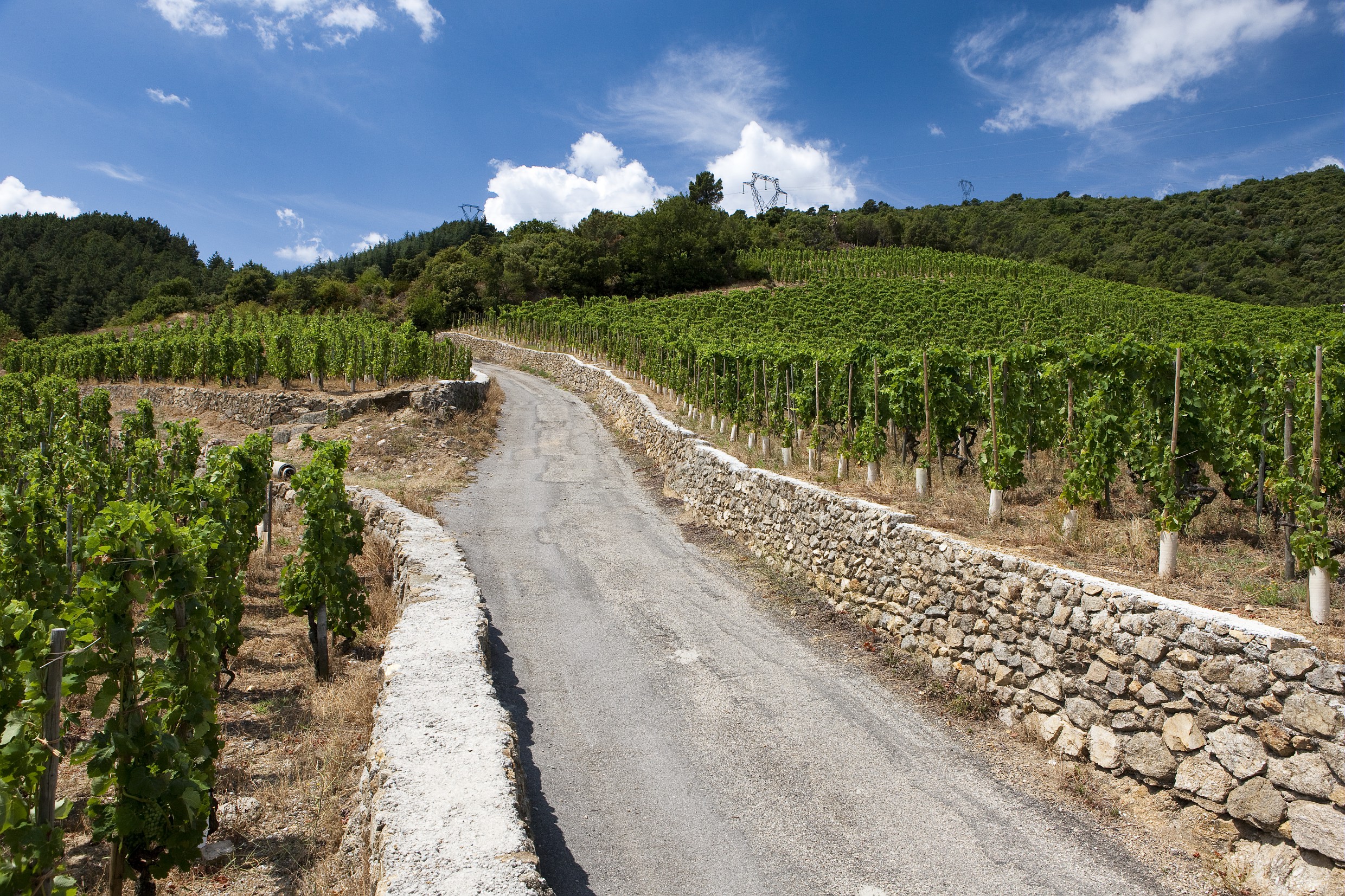 Sentier Cornas © Christophe Grilhé