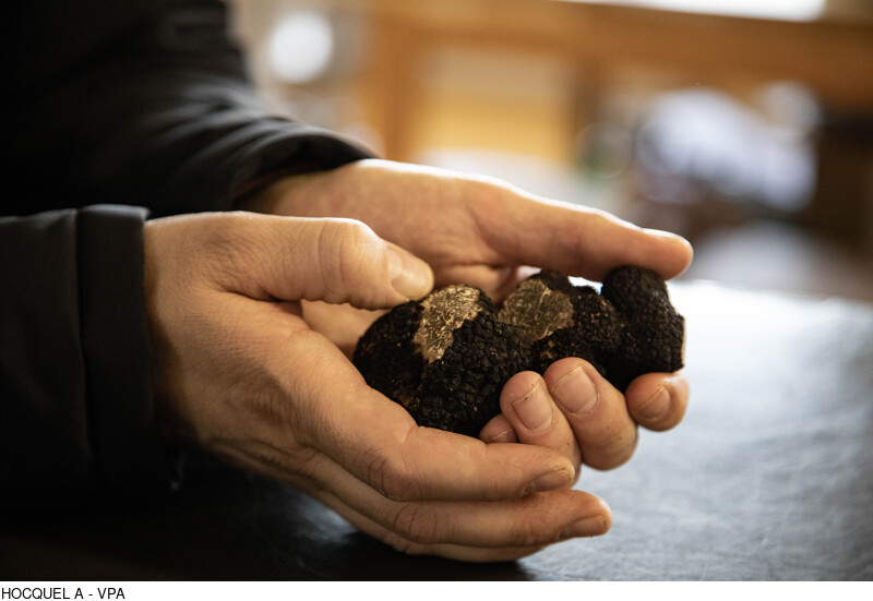 Afterwork truffes et crus des Côtes du Rhône