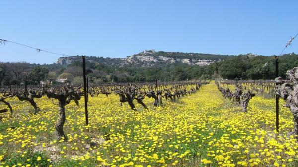 La Magnanerie Chabrières