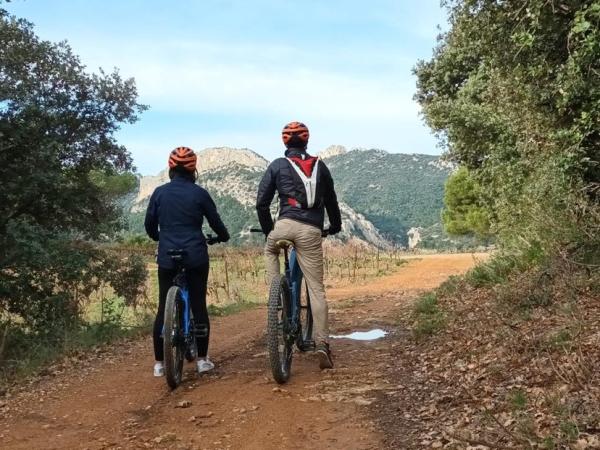 Balade à VTT électrique dans le vignoble et dégustation - Rhonéa