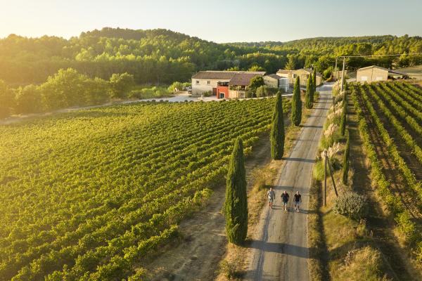 Domaine du Coulet Rouge