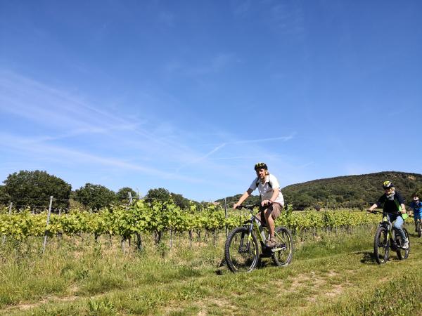 VELŒnologie côte du Rhône à Saint-Martin-d'Ardèche