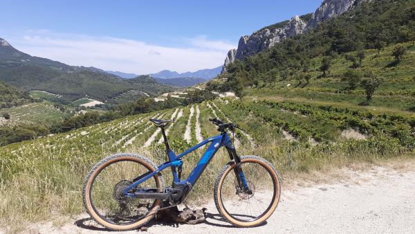 Balade accompagnée en VTT et dégustation à Gigondas LaCave