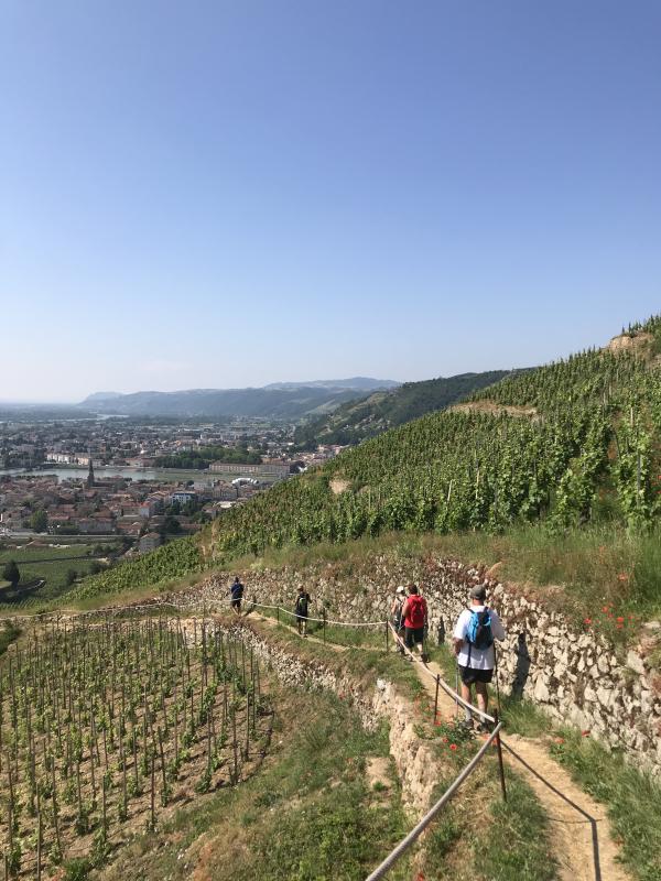 Randovignes avec Terres de Syrah by Cave de Tain