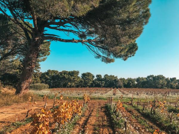 Parcours découverte au Domaine de Cristia