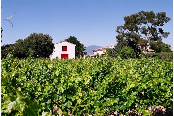 Apéritif Vigneron au Domaine de Marotte