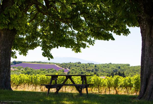 Domaine l'Ancienne École