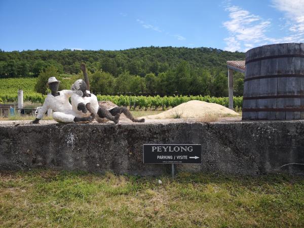 Balade éducative au Domaine Peylong