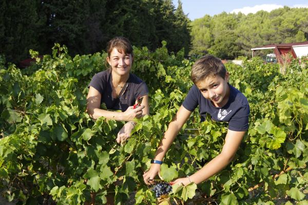 Visite de la cave - Domaine du Gros Pata