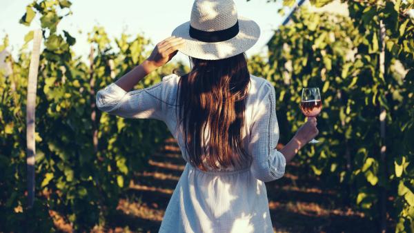 Les balades et dégustations offertes au château La Dorgonne