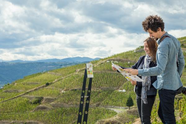 Randovignes avec Terres de Syrah by Cave de Tain