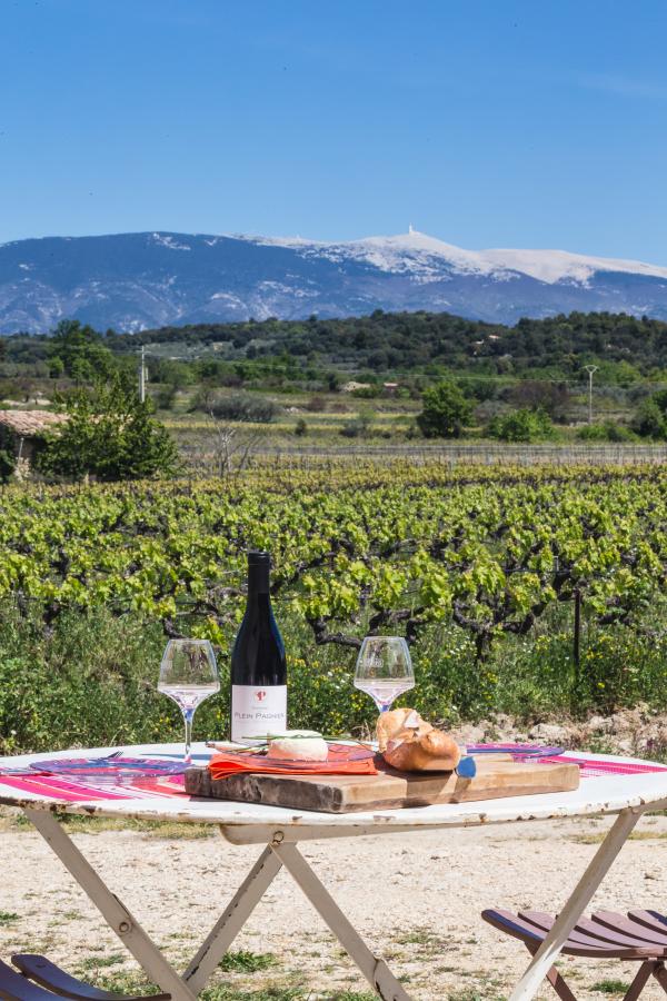 Pique-nique vigneron au Domaine Plein Pagnier