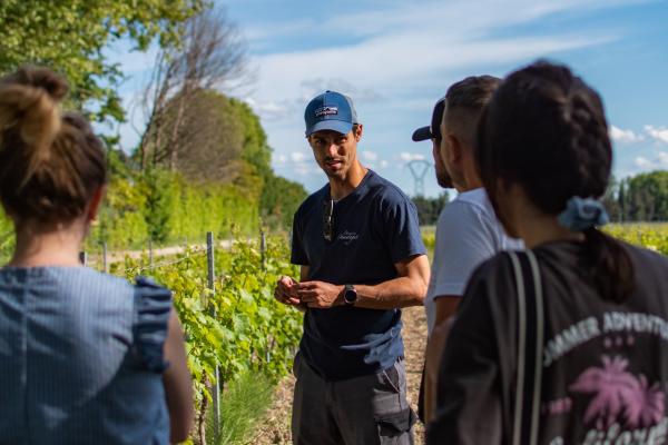 Visite de cave au Domaine de Chantegut