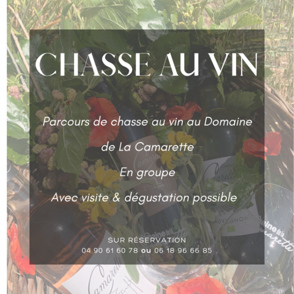 L'aventure de la Chasse au Vin au domaine de La Camarette