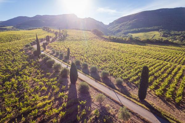 Balade culturelle dans le vignoble et dégustation chez Pierre Amadieu